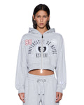 COLLEGE ORIGIN ZIP HOODIE GREY MARLE