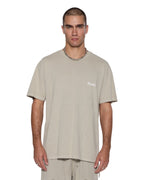 Mens Allday Biggie Ss Tee Terra Oversized Tees - Tan